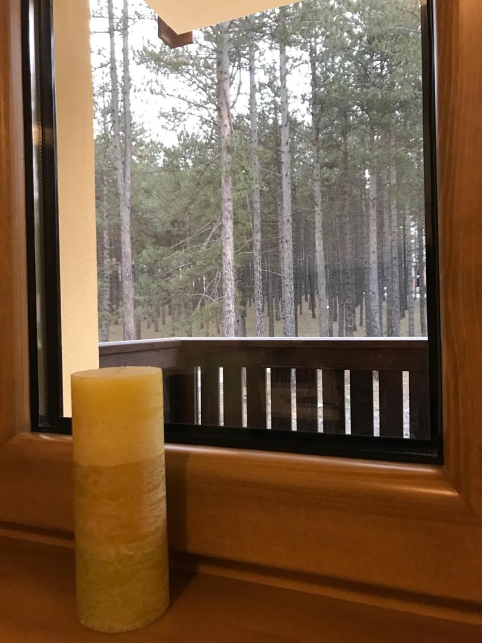 Zlatibor Apartmani Jakovljevic 외부 사진